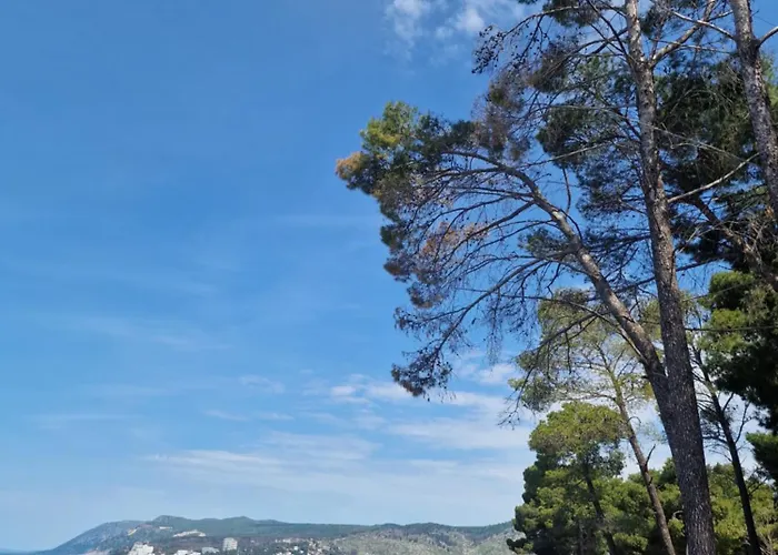 Aurora Kune Shëngjin